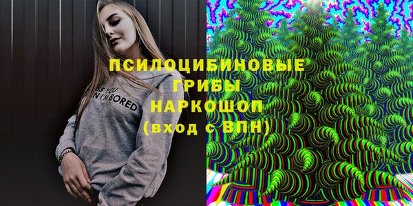 PSILOCYBIN Покров