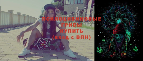 эйфоретик Арсеньев